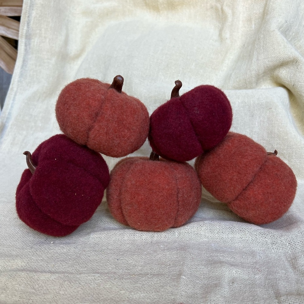 set of felt fall pumpkins